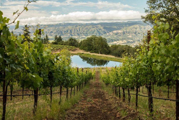 Butler-Ranch_Bonterra-Vineyards-710x474