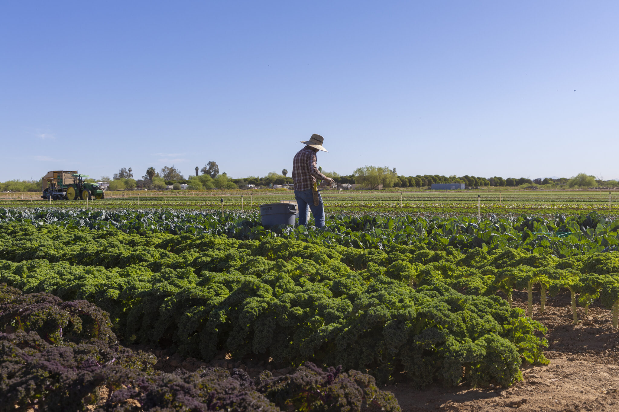 Transition to Organic Partnership Program Brings Market Opportunities ...