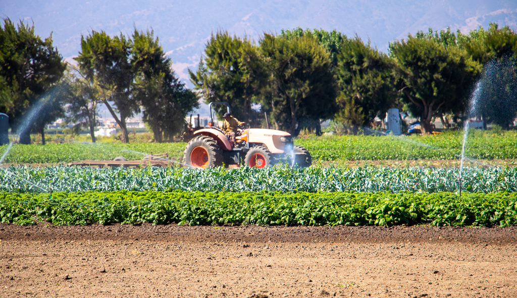 Farmer on tractor at ALBA