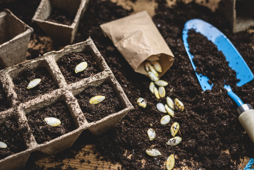 Organic Seed Alliance