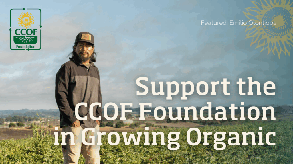 Organic farmer Emilio Otontiopa standing in a green field with cloudy sky, represting the impact of the CCOF Foundation during Organic Month 2025