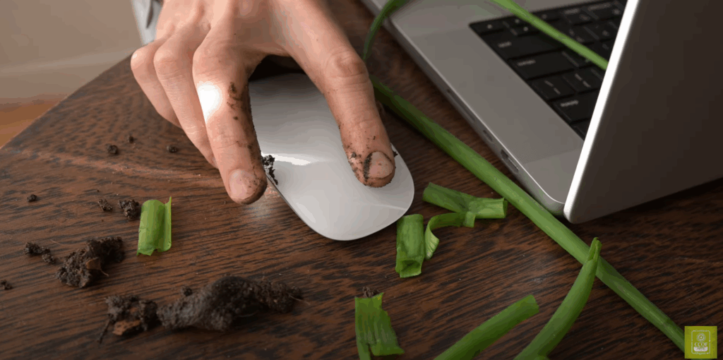 Hand with soil on fingers using computer mouse beside fresh green onions and laptop, symbolizing organic farming close to home
