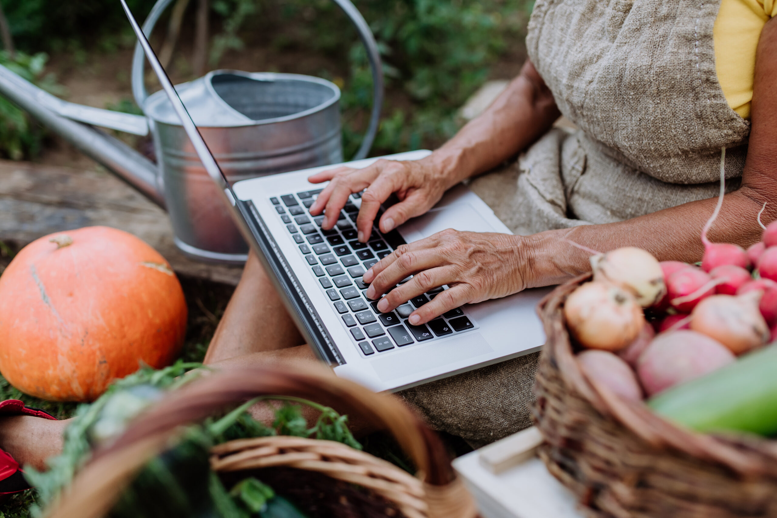 Organic Certification Renewal 2026