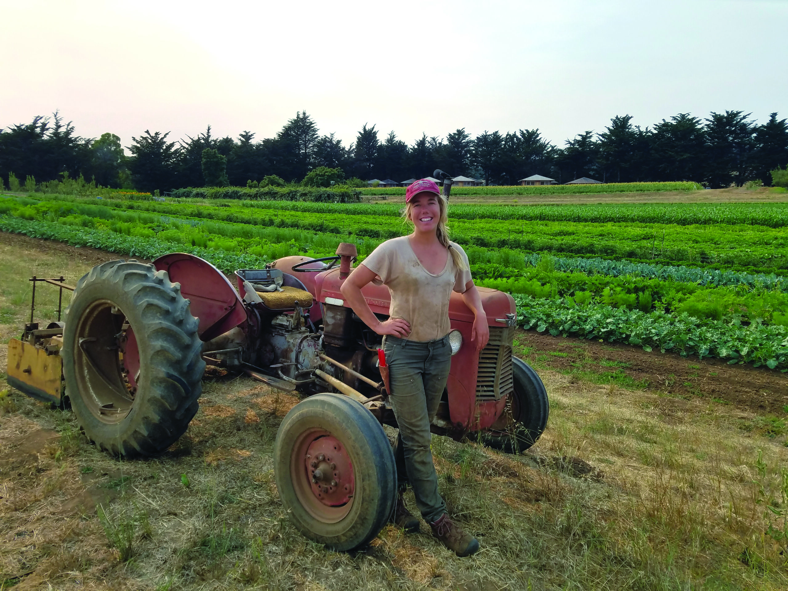 ccof foundation donate