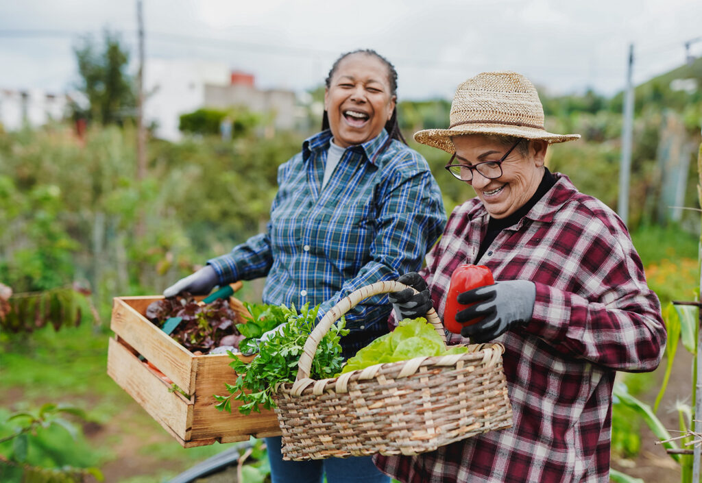 giving tuesday organic farmers