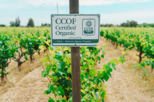 new nop certificates 2026