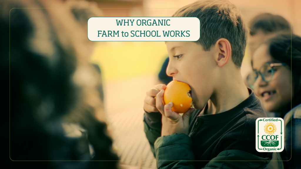 organic school lunches